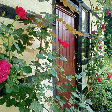 Bnb Het Geluk Van Limburg Malinas Exterior foto