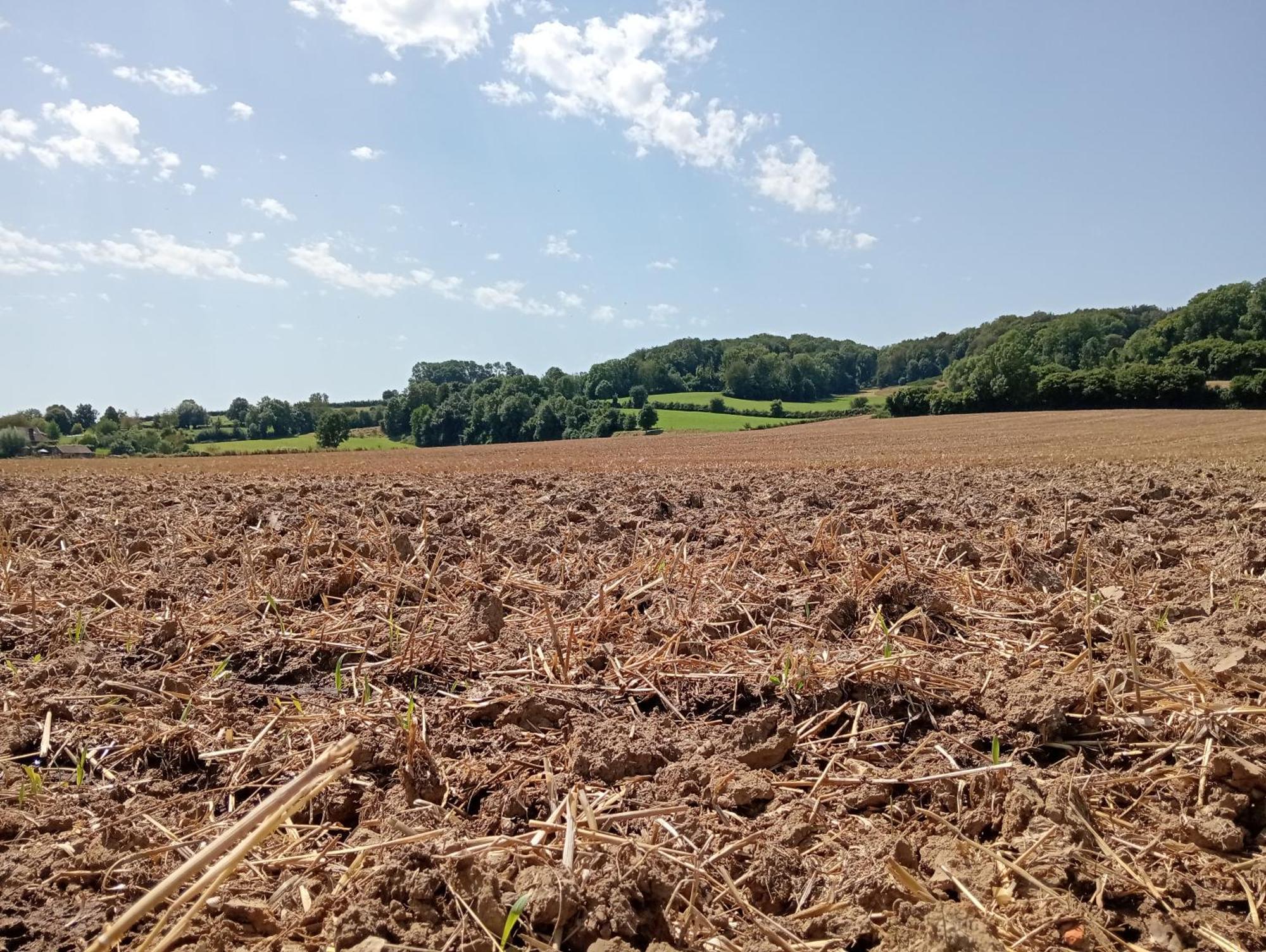 Bnb Het Geluk Van Limburg Malinas Exterior foto
