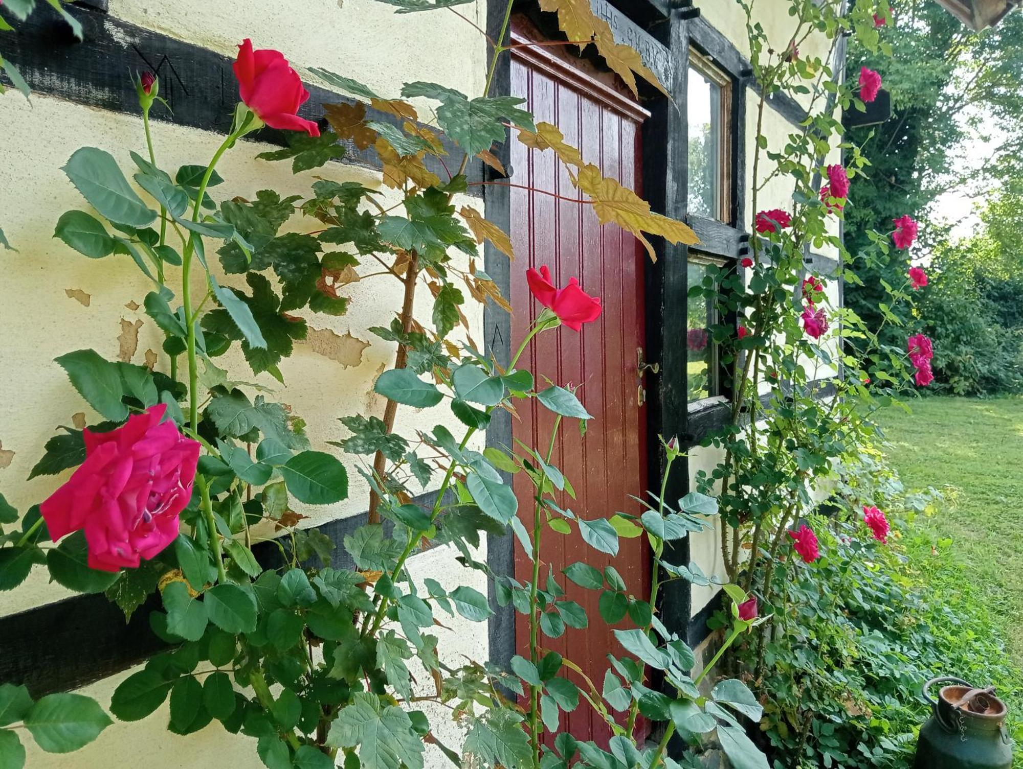 Bnb Het Geluk Van Limburg Malinas Exterior foto